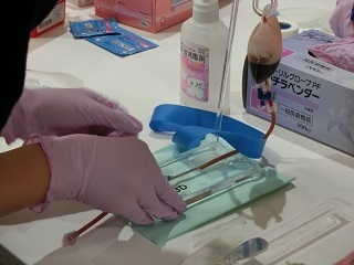 ブログ3 CIMG0988.jpg
