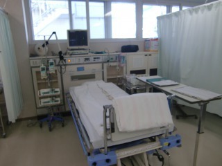s_CIMG2883A.JPG